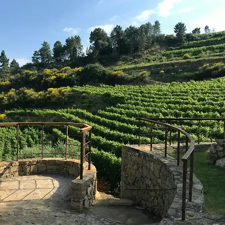 Stone Among Olive Groves In Liguria * Dolceacqua