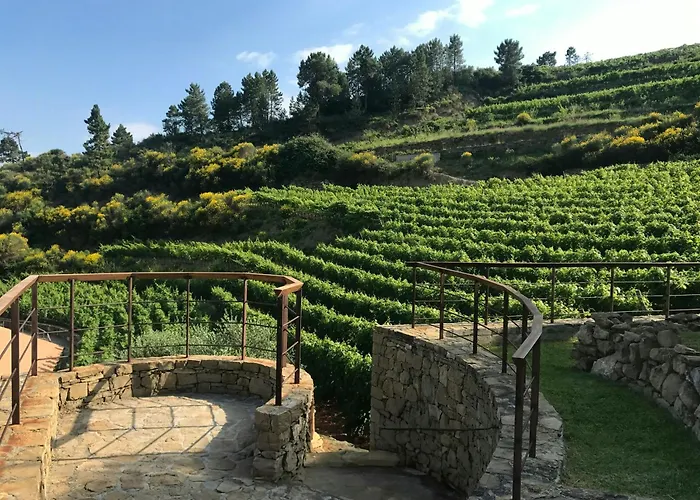 Stone Among Olive Groves In Liguria * Dolceacqua