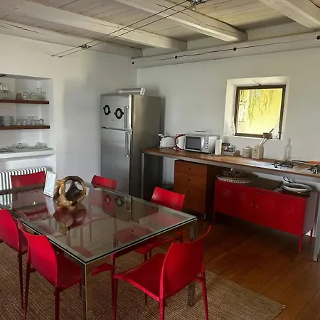 Stone Among Olive Groves In Liguria Dolceacqua