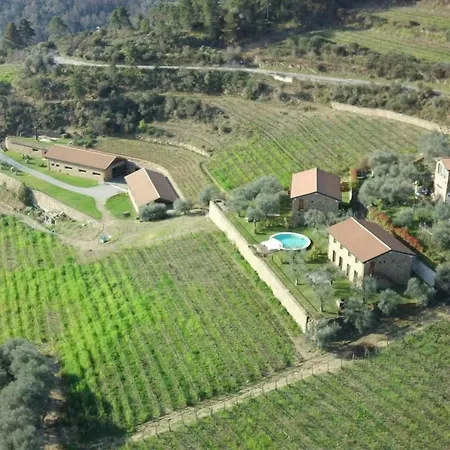 Stone Among Olive Groves In Liguria Semesterbostad *