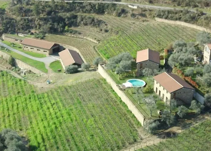 Stone Among Olive Groves In Liguria Semesterbostad *